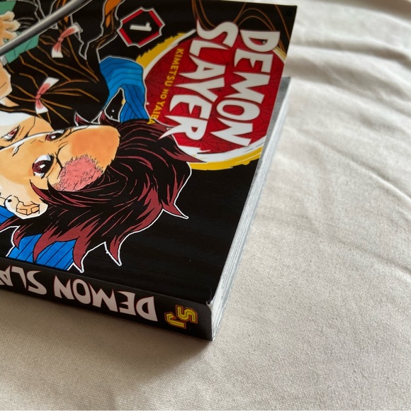 demon slayer ‘kimetsu no yaiba’ manga vol. 1 - Picture 9 of 9